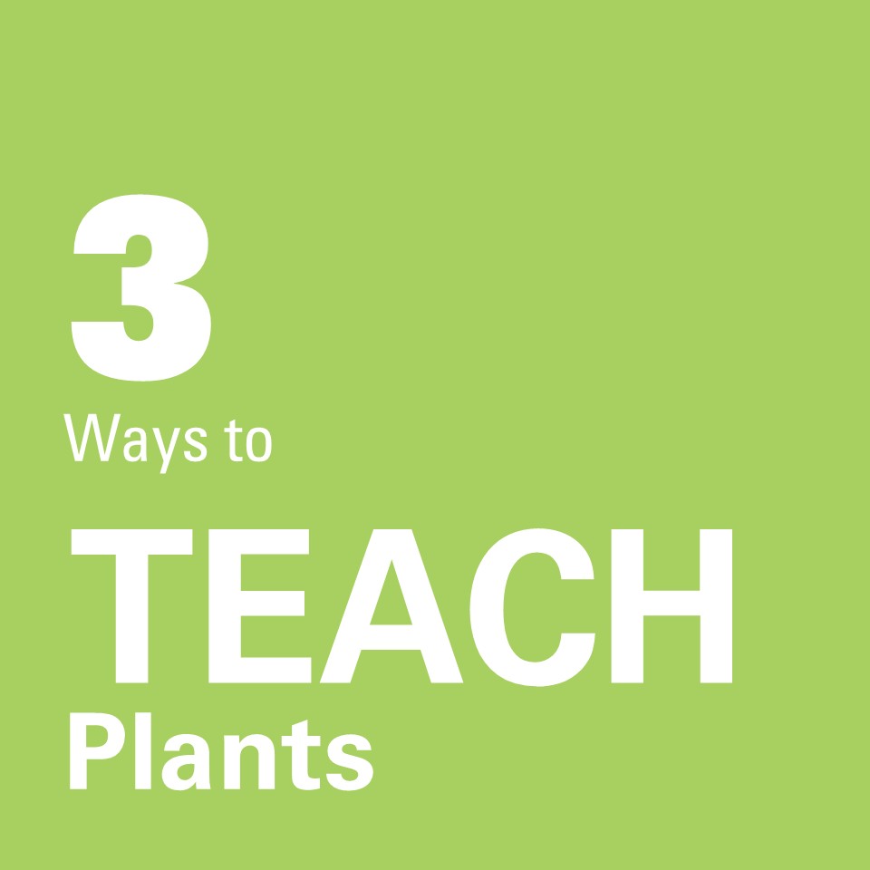 3 Ways to Teach&nbsp;Plants