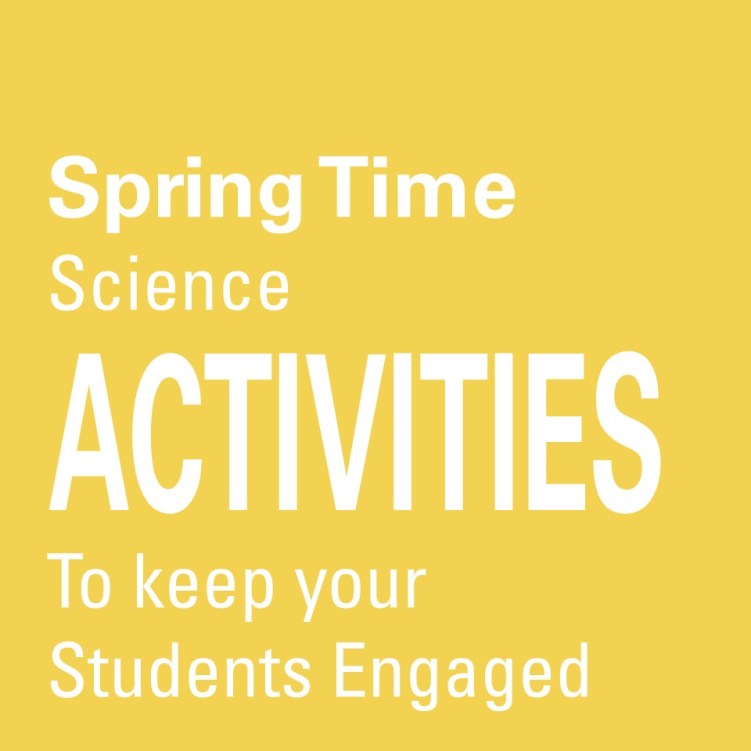 5 Spring Activities that Will Keep Your Students Engaged