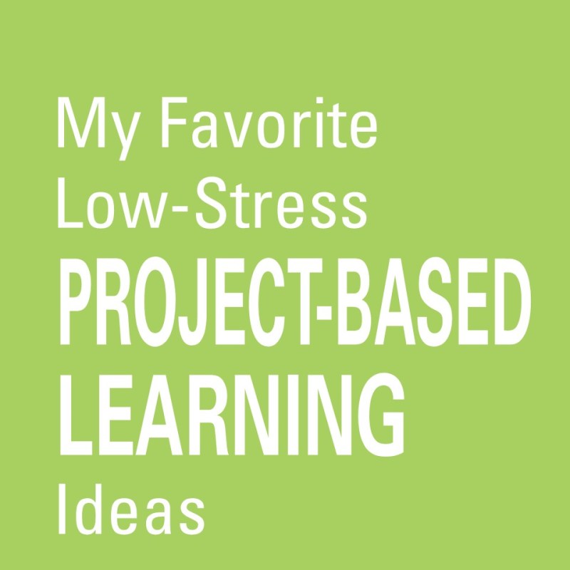 Letting Students Take the Lead: My Favorite Low-Stress Project-Based Learning&nbsp;Idea